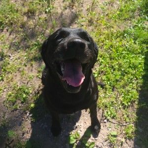 Meet your Posher, Blake